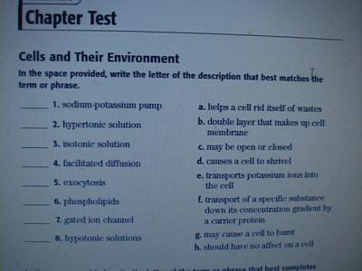 chapter 9 assessment critical thinking biology answers